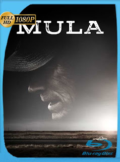 La Mula (2018) HD [1080p] Latino [GoogleDrive] SXGO