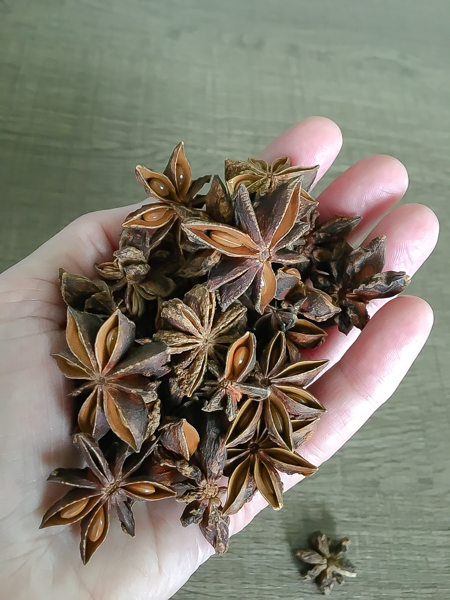 Chinese Star Anise