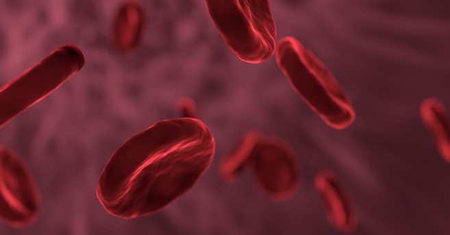 LAPORAN PTK BIOLOGI SMA PTK PAUD PTK SD PTK SMP PTK SMA