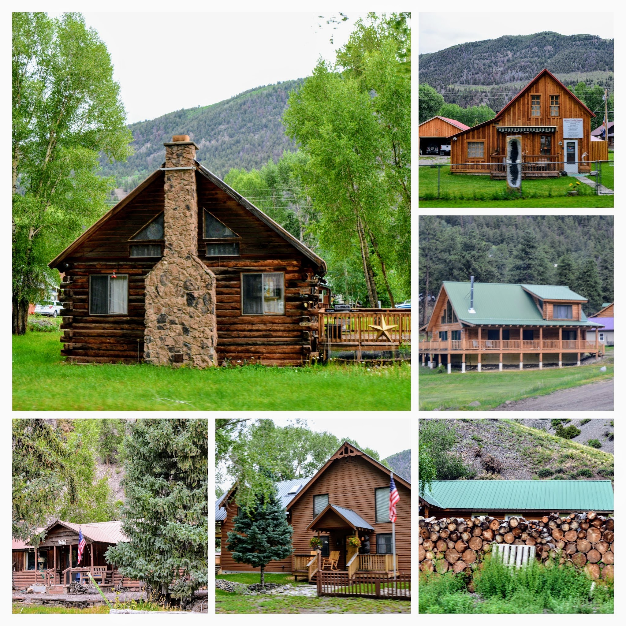 Mille Fiori Favoriti Lake City, Colorado