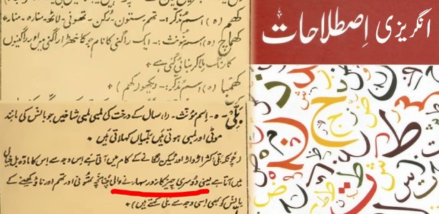 English to Urdu Dictionary - جذباتی اداکاری / Jazbati adakari اس لفظ کا  انگریزی معنی جاننے کے لئے کلک کریں CLICK FOR MEANING   Find All Today's Meanings Visit