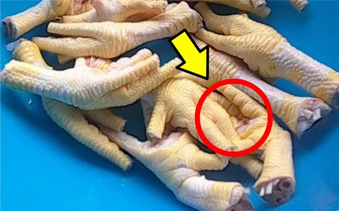 Poca gente sabe el secreto que esconden las Patas de Pollo para la salud