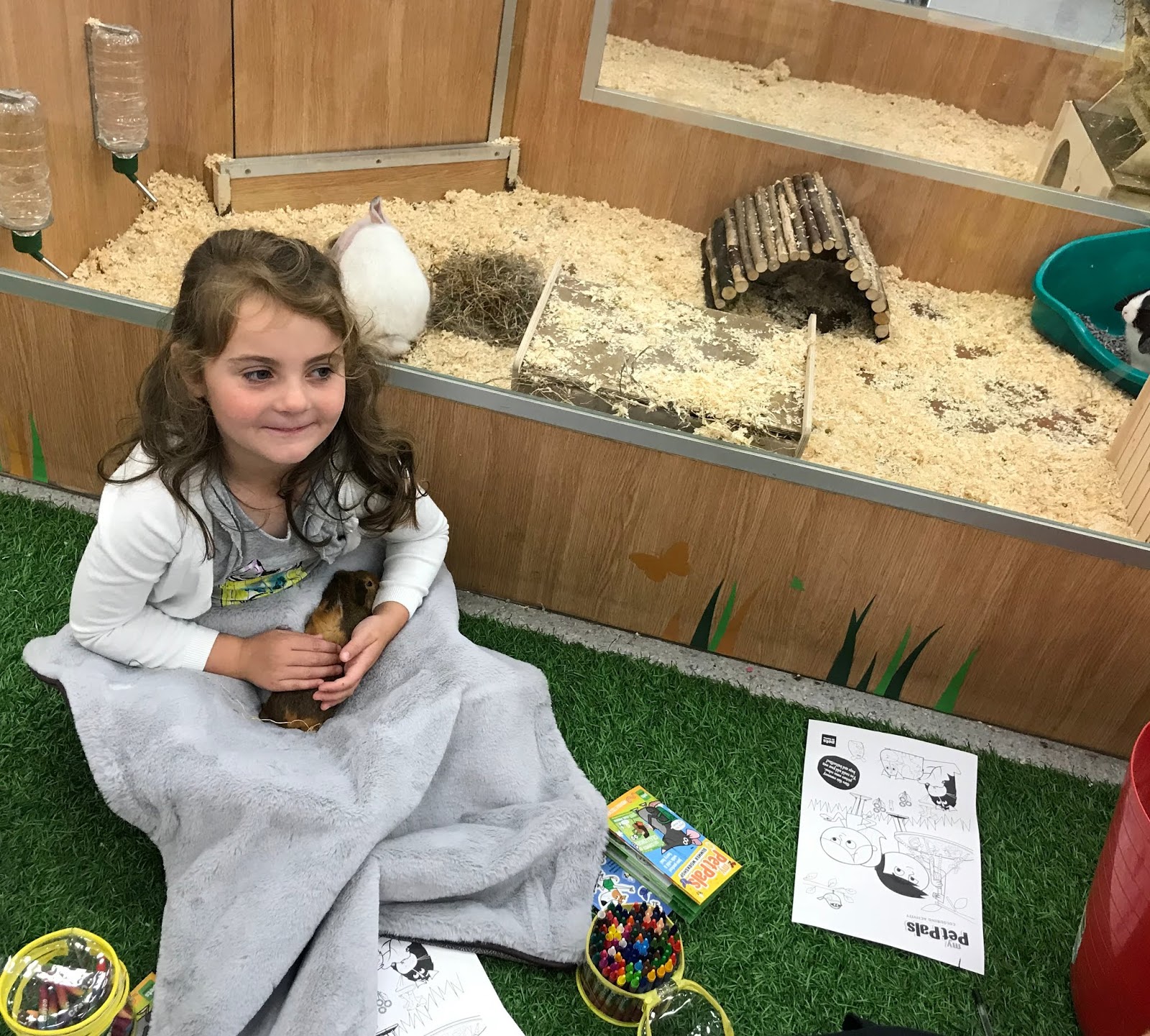 Can You Take Your Dog Into Pets At Home