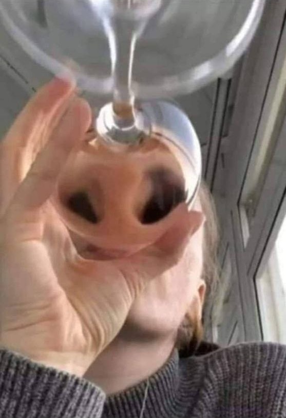 Riesige Nasenlöcher beim trinken aus Wasserglas