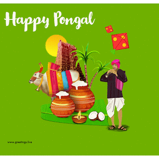 Pongal gif animated images