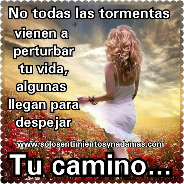No todas las tormentas vienen a perturbar tu vida. - Solo sentimientos ...