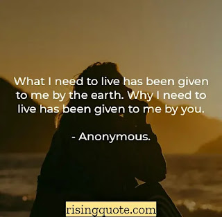 37 Famous Love Quotes For All (2021) Feeling love quotes