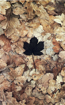 land art detail