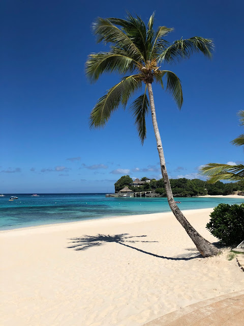 Как крымчане филиппинились: Боракай и Себу -Белый песок на Белом пляже, гигантские ракушки и китовые акулы