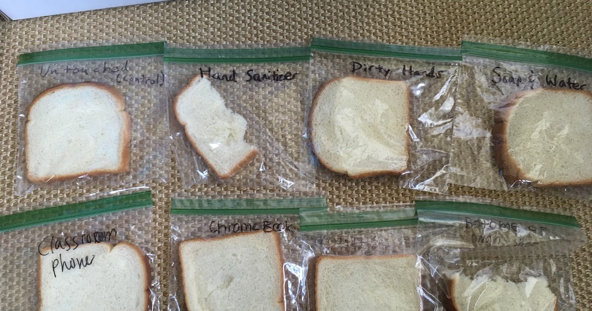 Jeremy and Class Moldy Bread Experiment