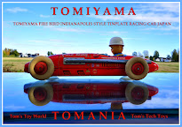 TOMIYAMA FIRE BIRD