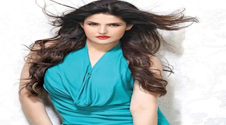 Zareen Khan Filmography, Roles, Verdict (Hit / Flop), Box Office Collection, And Others