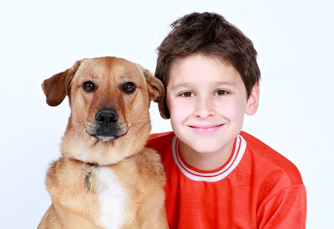 VENTAJAS Y DESVENTAJAS DE UNA MASCOTA EN CASA.