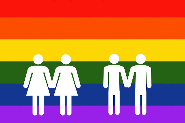 دراسة جديدة تؤكد لا عامل وراثي و جيني مسؤول عن المثلية الجنسية 
