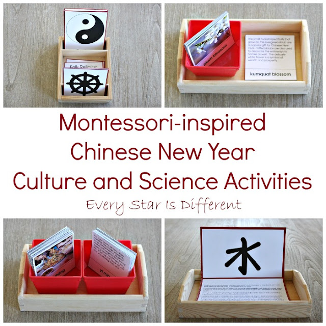 Montessori-inspired Chinese New Year Culture and Science Activities