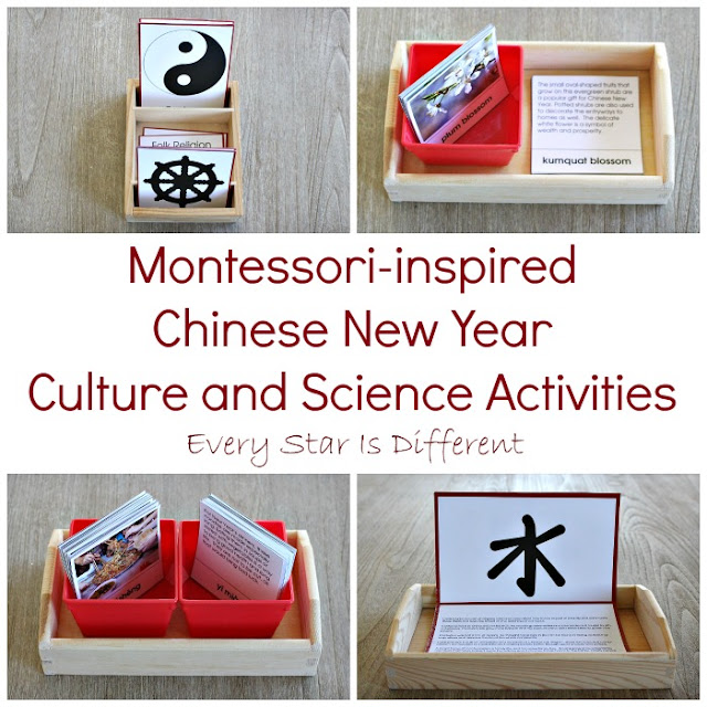 Chinese New Year Culture and Science Activities