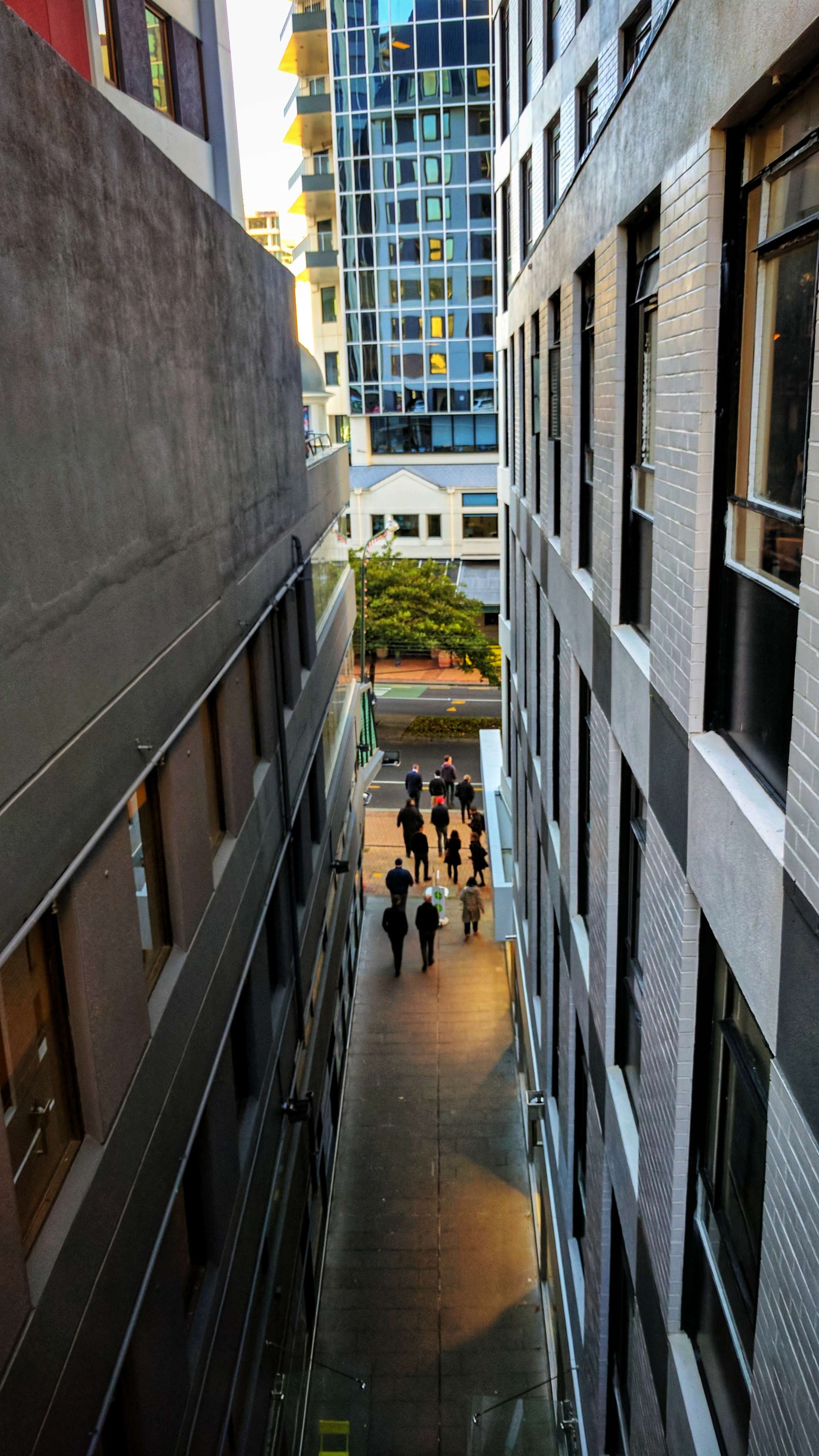 Masons Lane, Wellington (Aotearoa New Zealand)