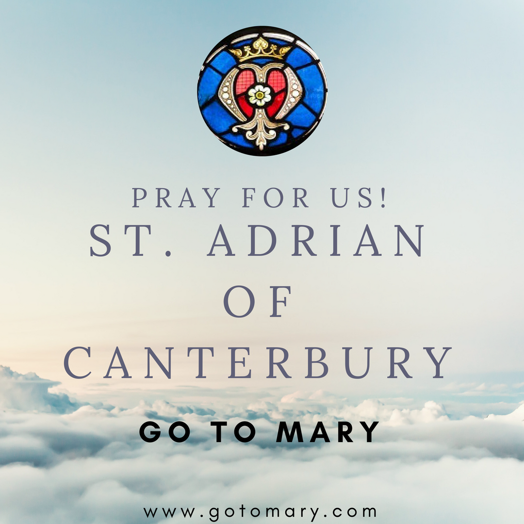 Saint Adrian of Canterbury Go to Mary