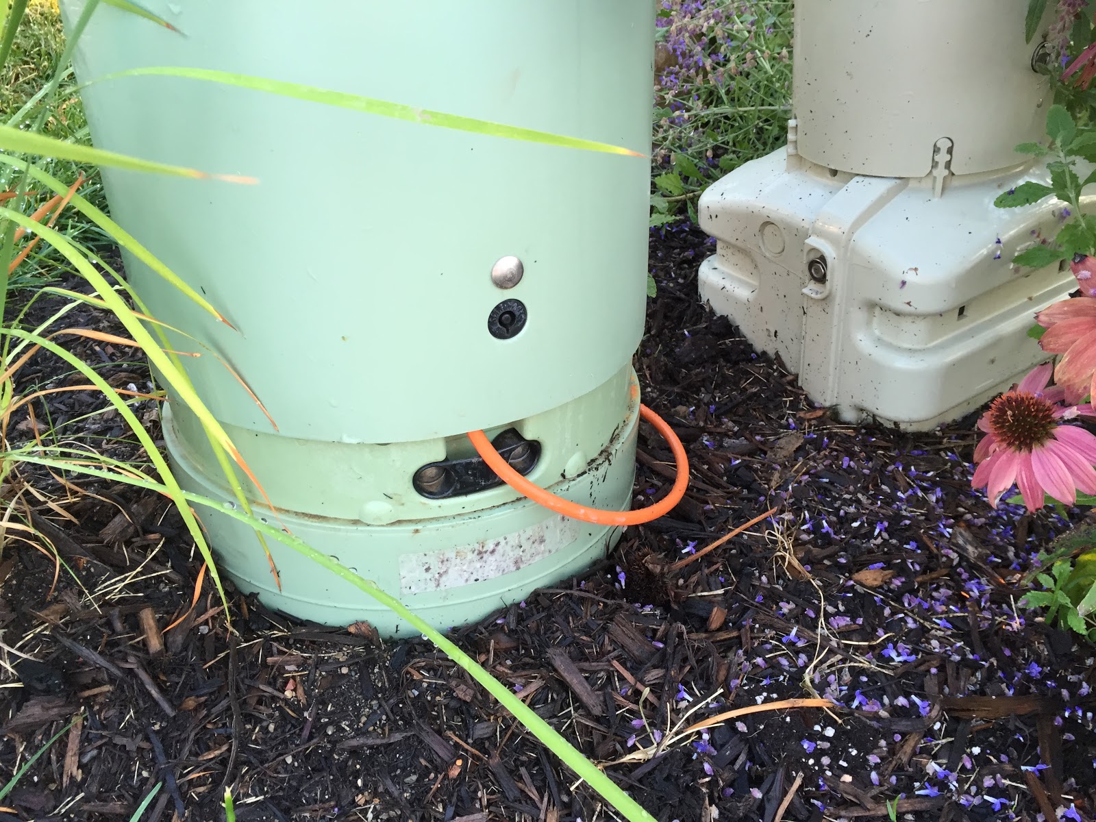 Backyard Neophyte Landscaping Blog: August 2015