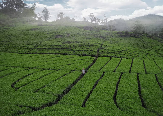 Wisata Kawah Dan Kolam Renang Terkenal Di Ciwidey