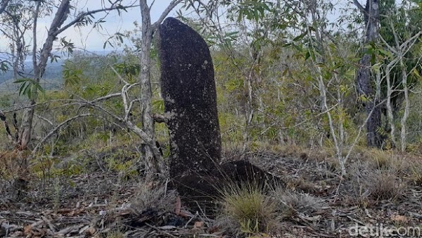 Aneh! Menhir Papua Ini Dibawa ke Jakarta, Eh Tiba-tiba Hilang, Balik ke Papua!