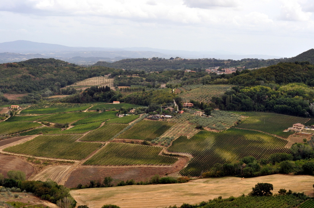 The Vista in Montepulciano, Italy - Photo by Taste As You Go