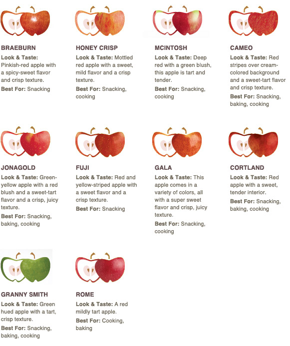 Types of Apples and what they are BEST used for! AWESOME! | Perfect ...