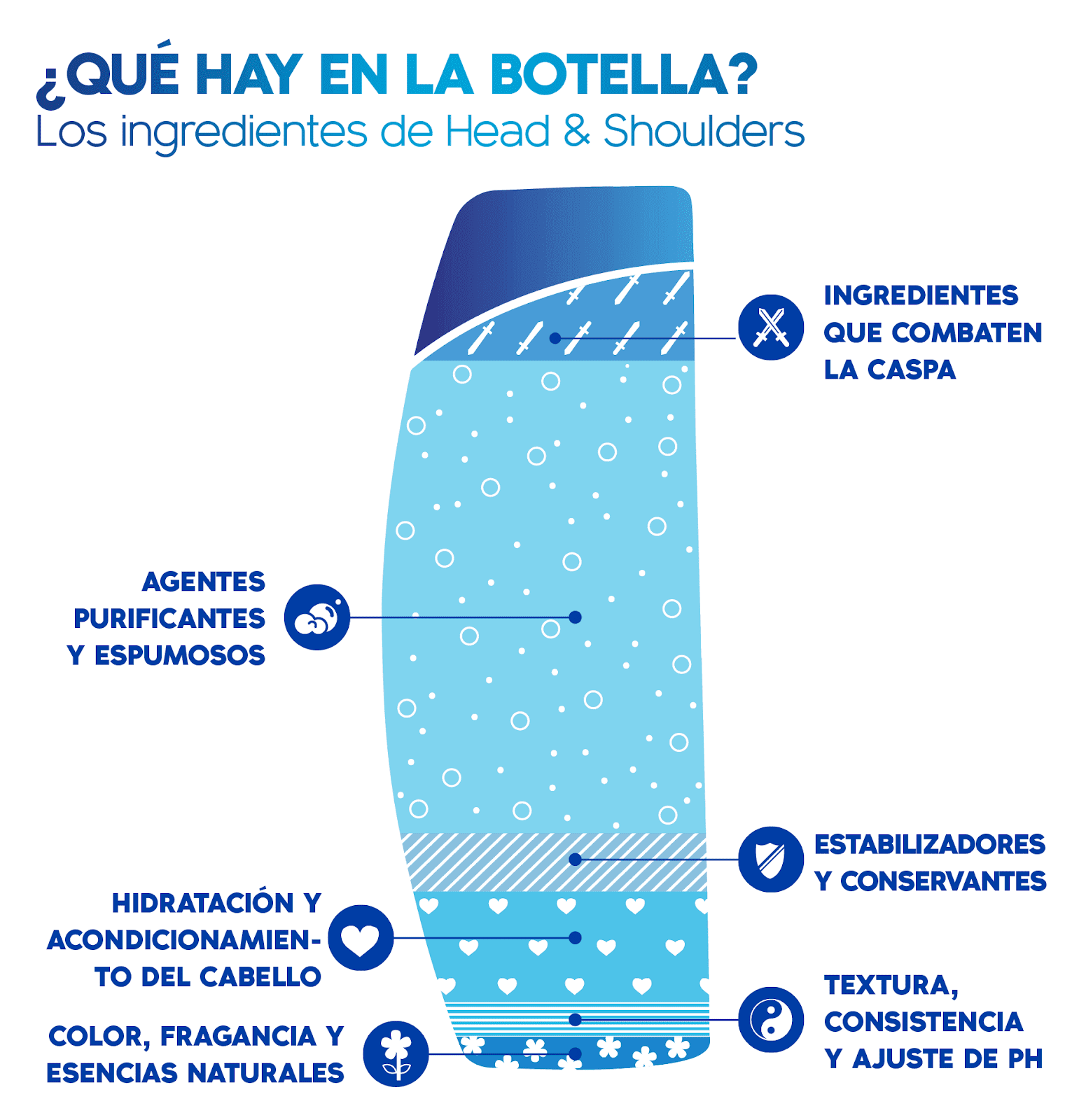 ¿Cómo se elige el shampoo?