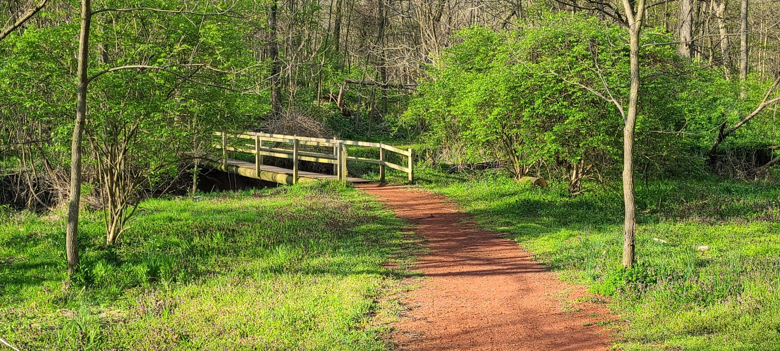 Valley Girl Views The Canal Path In Watsontown PA