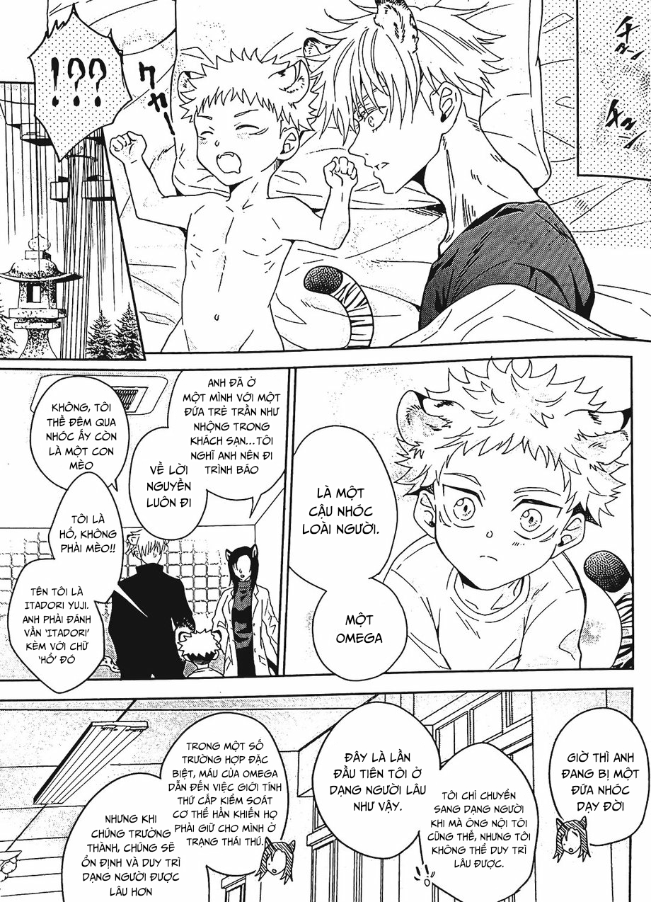 Đọc truyện Jujutsu Kaisen Omegaverse cat - Chapter 1