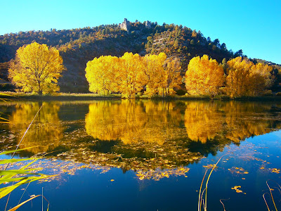 La Laguna del Marquesado. Autor: Miguel Alejandro Castillo Moya