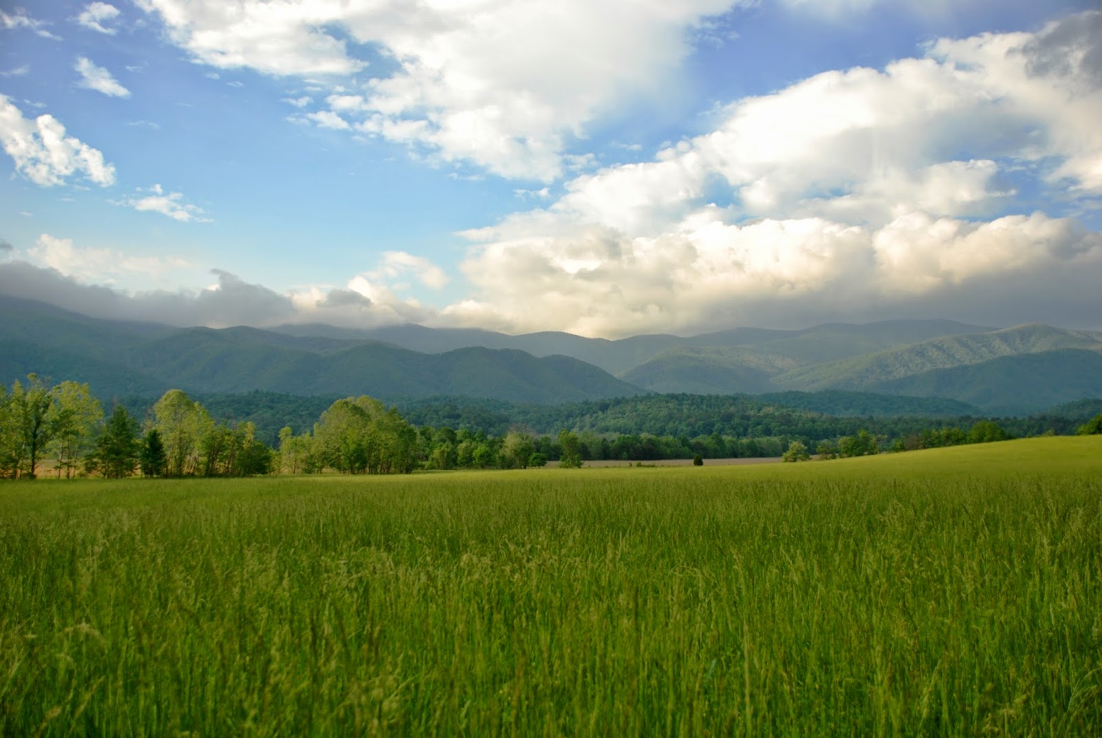 The Hiking Hokie Mount LeConte, Clingman's Dome, and Cades Cove