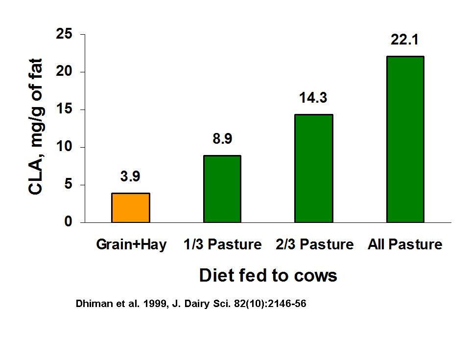 Performance Daily Does CLA (Conjugated Linoleic Acid) From Grass Fed