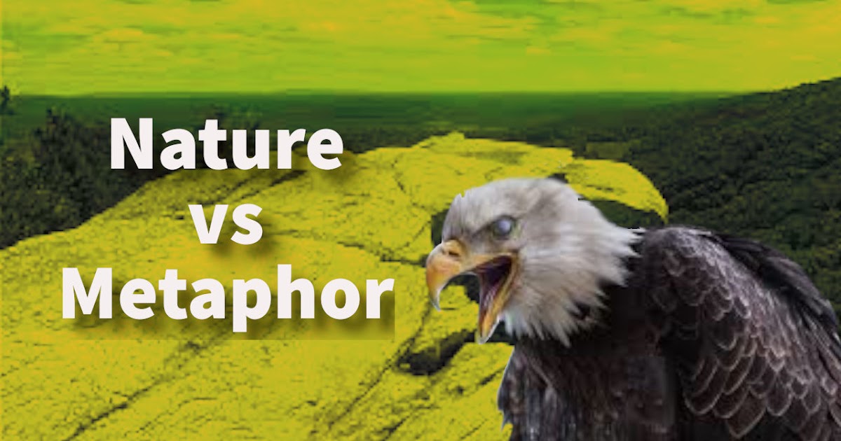 Words are birds poem analysis picture