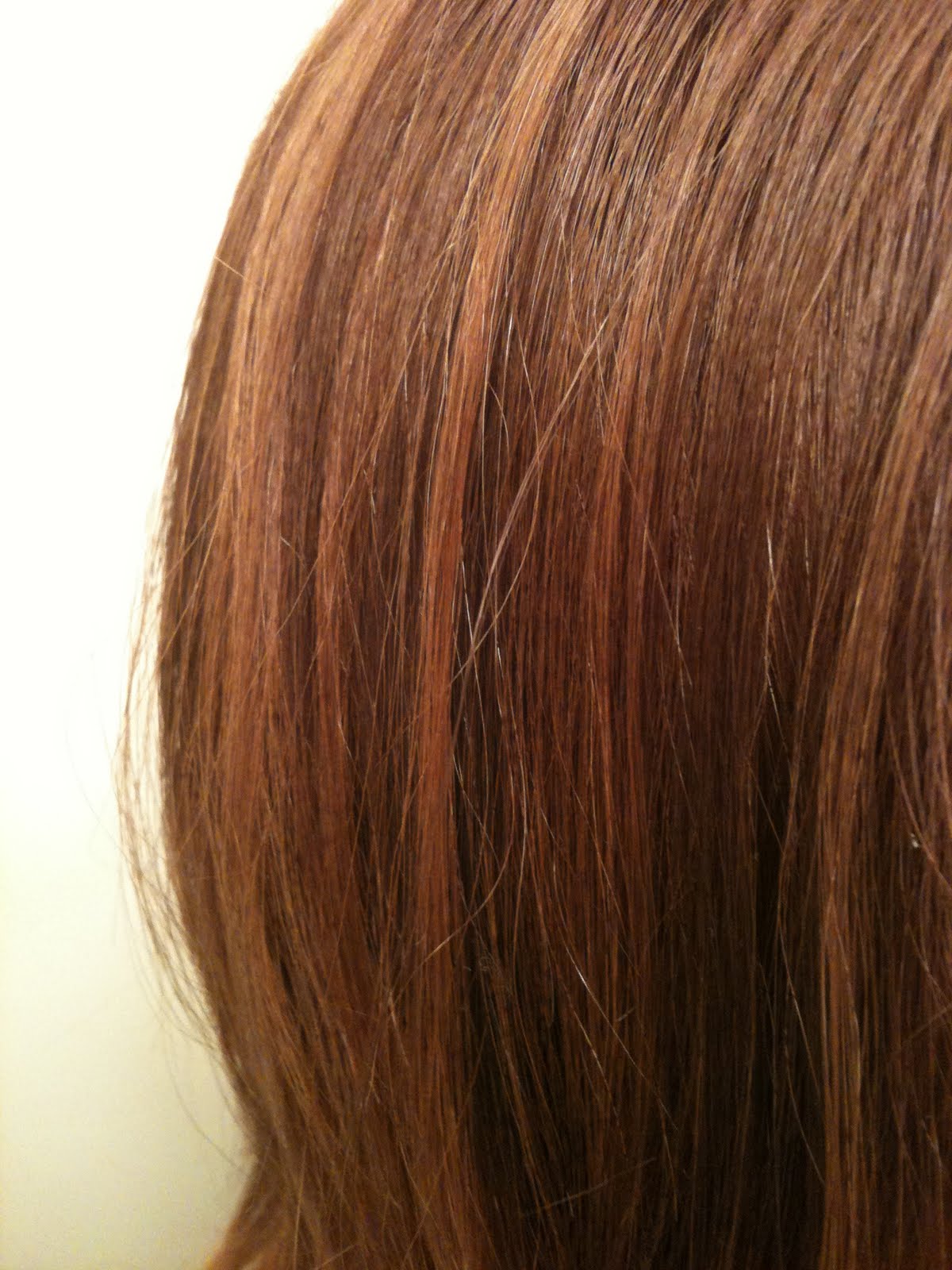 The Everyday Shopper, shopper at large! Palty Japanese Foam Hair Color
