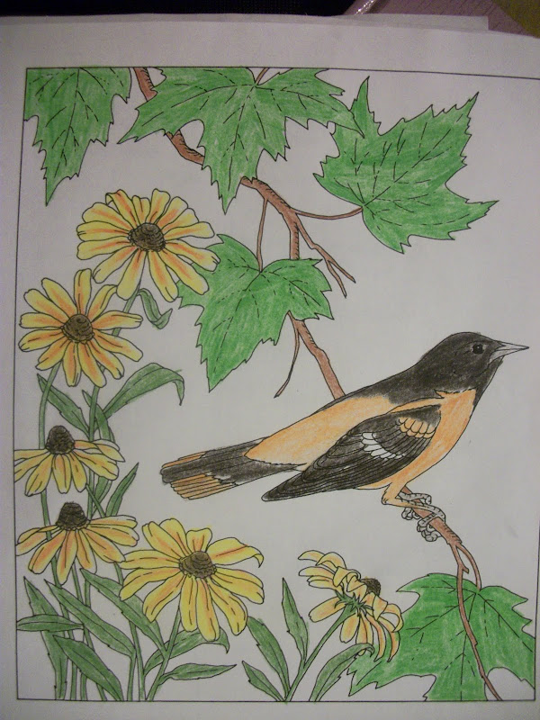 Art - Coloring State Birds and Flowers title=