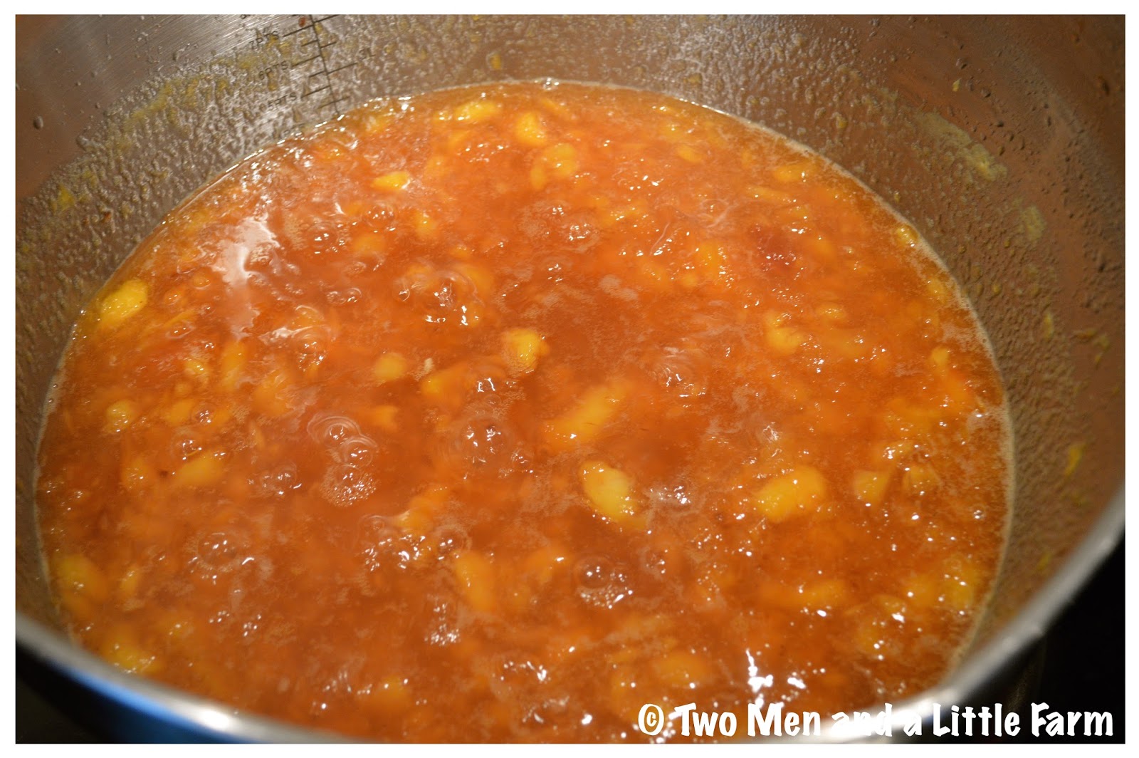 Two Men and a Little Farm CANNING PEACH JAM WITHOUT PECTIN