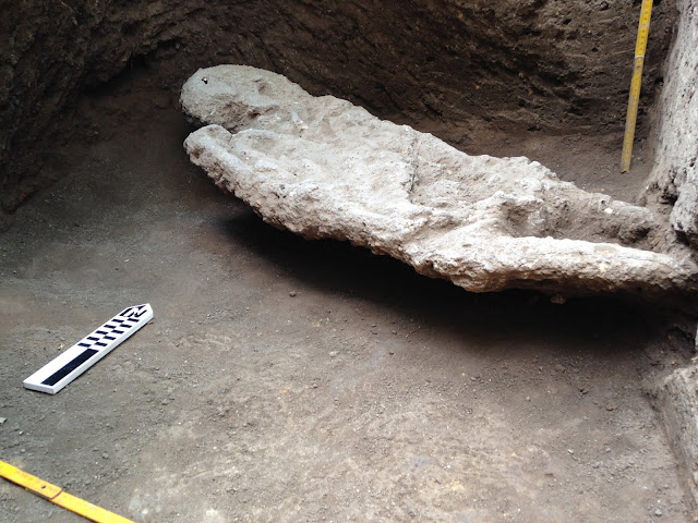 Human settlements in Amazonia much older than previously thought