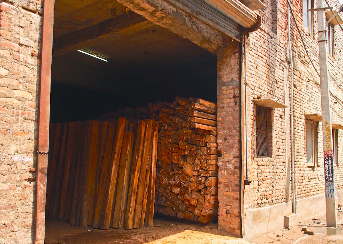 Wood Delhi’s Vast Timber Market