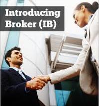 ib forex broker