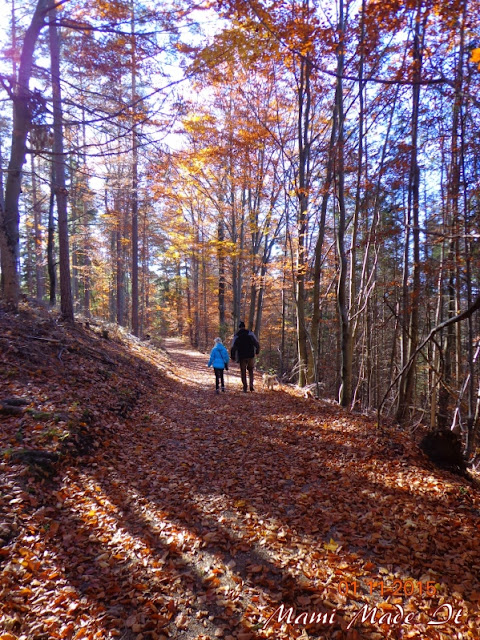 A Walk in the Woods - Ein Waldspaziergang