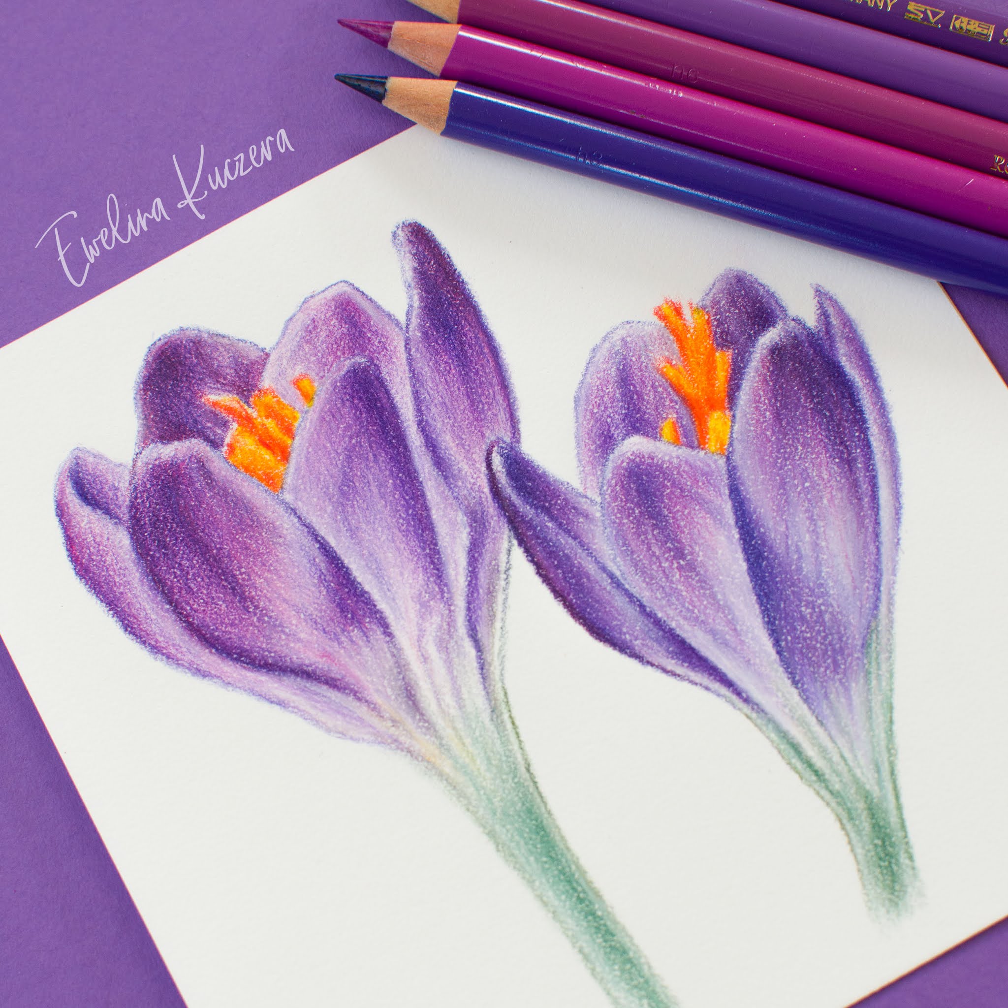 Color pencil shading, Color pencil drawing easy, How to shade with  colored pencils