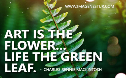 Leaf Captions For Instagram Green Leaf Quotes] Green Leaf Captions For Instagram Pics - Imagenestur