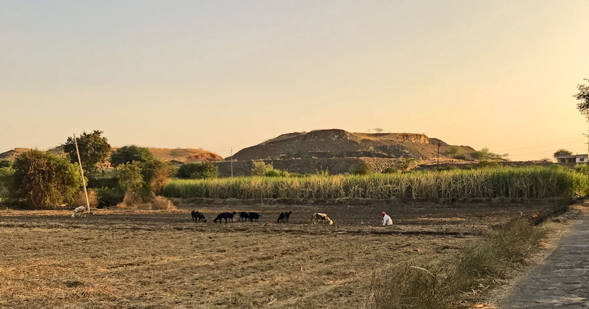A Farmer Tending To His Field In Rural Maharashtra