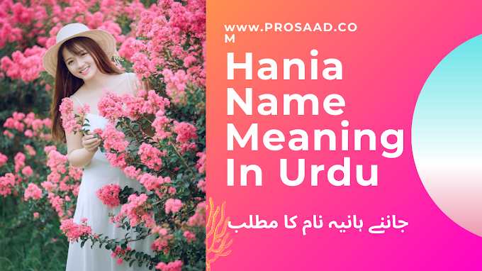 Hania Name Meaning in Urdu & Haniya Name Other Variant