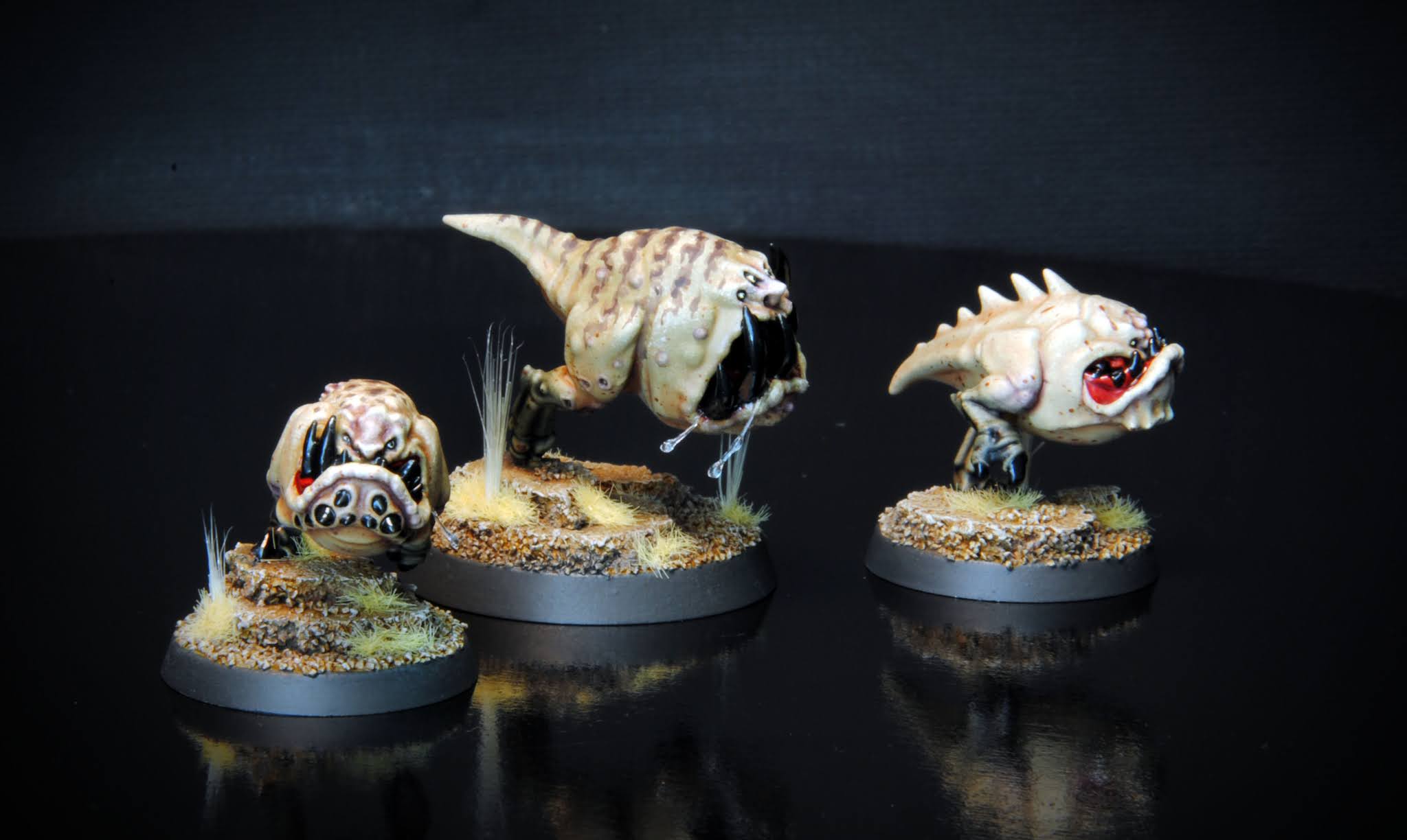 Le Blog dé Kouzes Wild Squigs