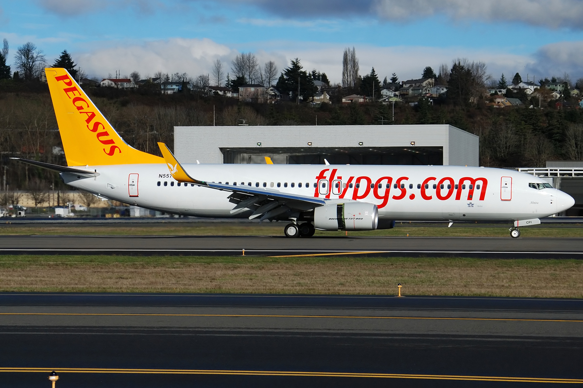 Боинг 737-800 pegasus airlines. Авиакомпания алания. Реклама пегасус эйрлайнс. Pegasus airlines внуково. Pegasus airlines внуково.