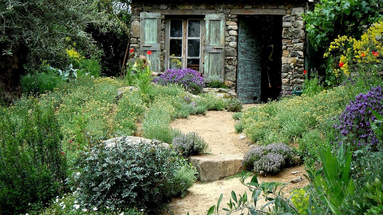 French Country Gardens French Choices