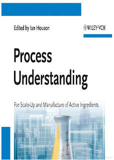 Process Understanding: For Scale-Up and Manufacture of Active Ingredients