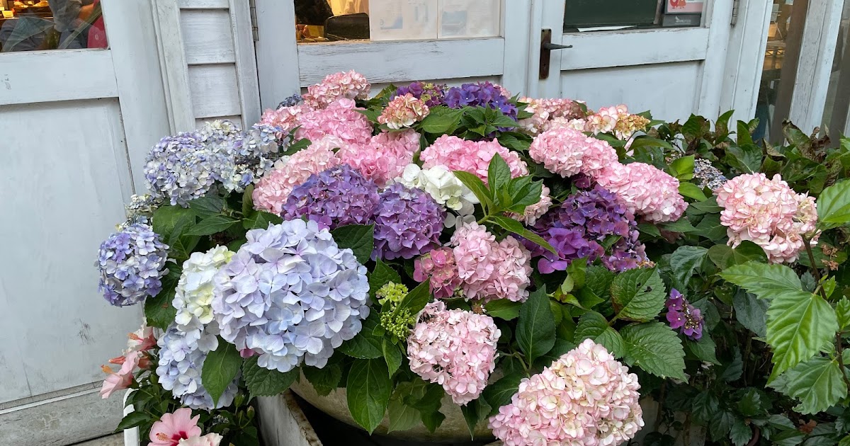 [食記] 台北陽明山 白房子Yang Ｍing Cafe 